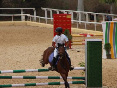 Equestrian Rider: Level 3 : Horse Riding: Kings Equestrian