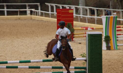Equestrian Rider: Level 3 : Horse riding: Kings Equestrian
