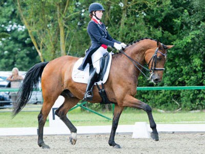 Equestrian Rider: Level 5 : Horse Riding:  Kings Equestrian