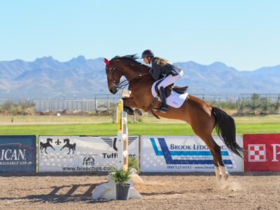 Equestrian Rider: Level 4 : Horse Riding: Kings Equestrian