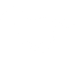 horse-white