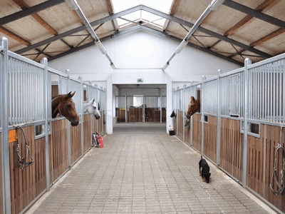 Protected: Skills India I Equine Groom I Horse Riding I Kings Equestrian