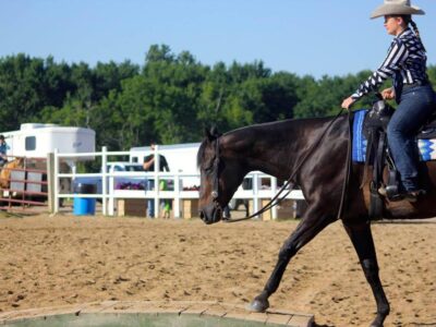 Horse Riding Lessons I Bangalore I Hyderabad I Pune I Trial Class
