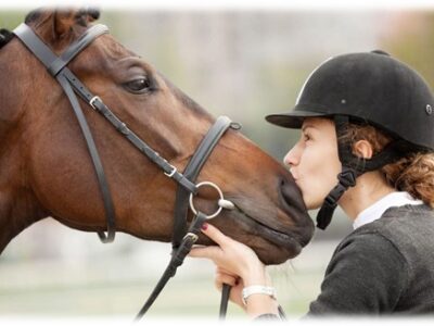 International Baccalaureate® (IB) Equestrian Programme:MYP