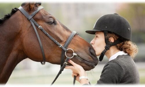IB-MYP-PYP International Baccalaureate® (IB) Equestrian Programme:MYP